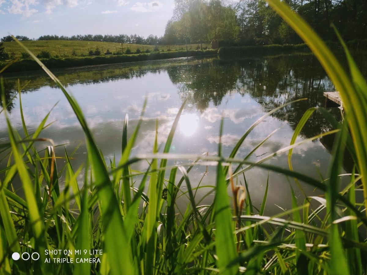 Wczasy Mazurskie - Domek Caloroczny Bez Mazury Moldzie エクステリア 写真